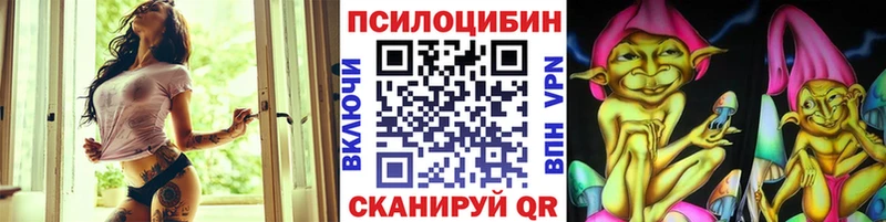 Псилоцибиновые грибы Cubensis  Нерюнгри 