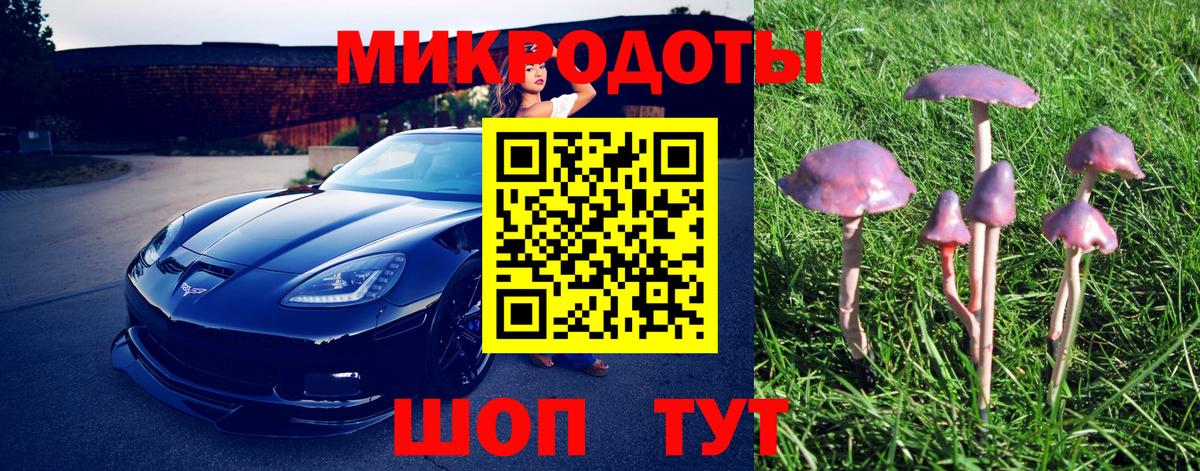 Галлюциногенные грибы Magic Shrooms Нерюнгри