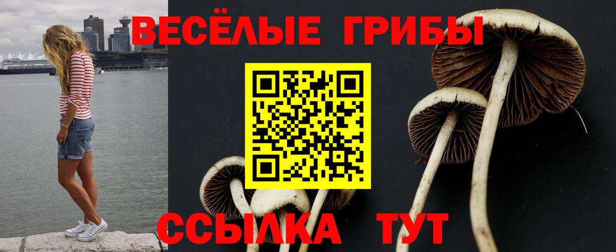 Нерюнгри  Псилоцибиновые грибы MAGIC MUSHROOMS  Вход с VPN 